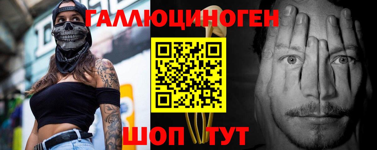 Галлюциногенные грибы Psilocybine cubensis Чапаевск